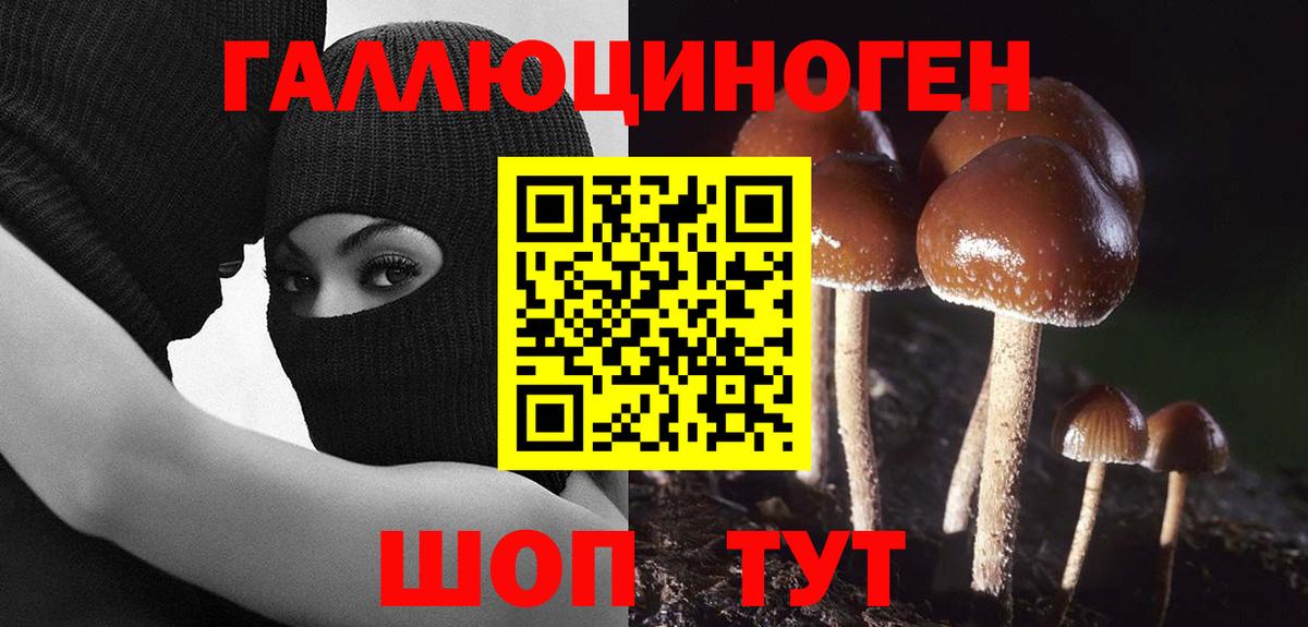 Донецк  Псилоцибиновые грибы GOLDEN TEACHER  Вход с VPN 