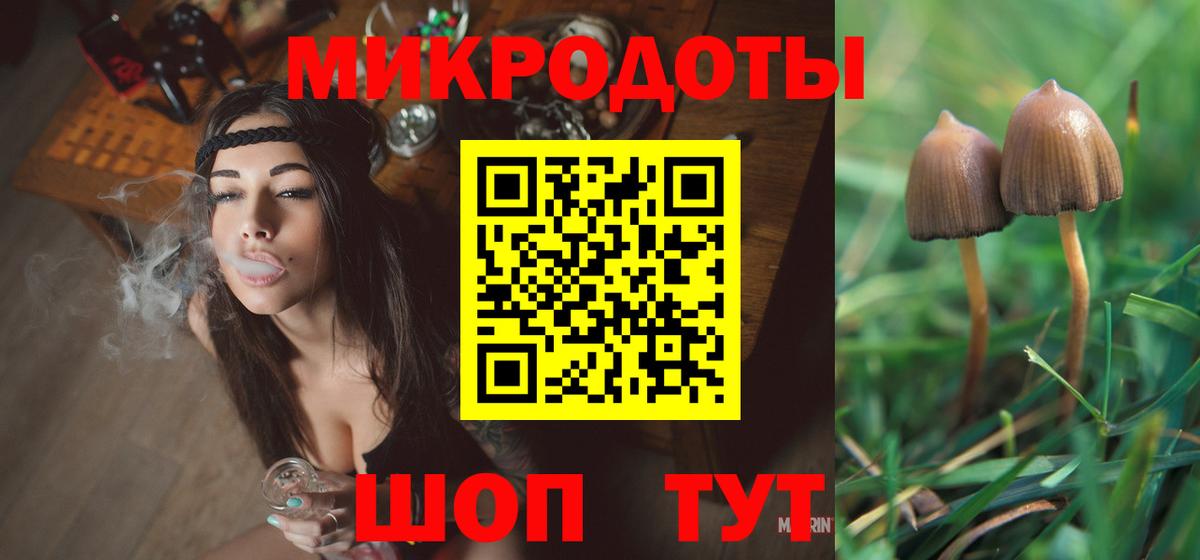 Псилоцибиновые грибы Cubensis Донецк